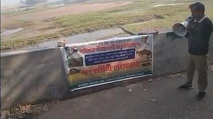 পূর্ব বর্ধমান: আসতে শুরু করেছে পরিযায়ী পাখির দল! কড়া নজরে গঙ্গার চর