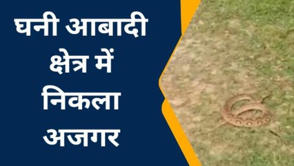 बहराइच: विशालकाय अजगर को देख ग्रामीणों में मचा हड़कंप, वन कर्मियों के द्वारा चलाया गया रेस्क्यू अभियान