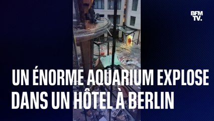Berlin: le plus gros aquarium cylindrique du monde explose au milieu d'un hôtel, au moins 2 blessés