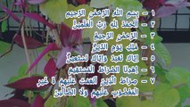 surah Al Fatihah merdu