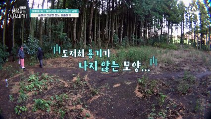 ↖소리질러!↗ 억눌린 감정과 화를 분출하여 분노를 해소할 수 있는 '속이 뻥! 대나무 숲'