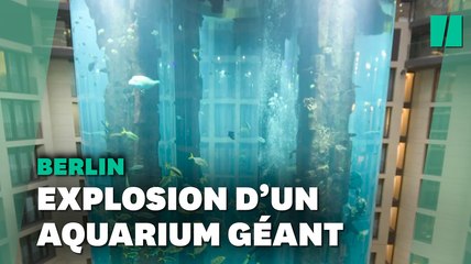 À Berlin, explosion du plus grand aquarium cylindrique au monde