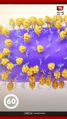 موعد انتهاء الفيروس التنفسي المخلوي.. الصحة تكشف