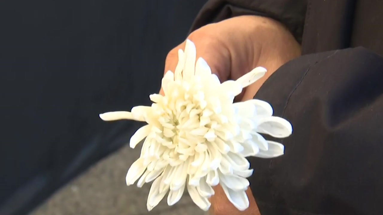 대통령실, 이태원 참사 49재에 "진실 규명이 희생자 위한 길" / YTN