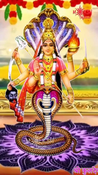 श्री नागनेची माताजी स्टेटस