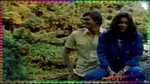 Carpenters - Please Mr Postman