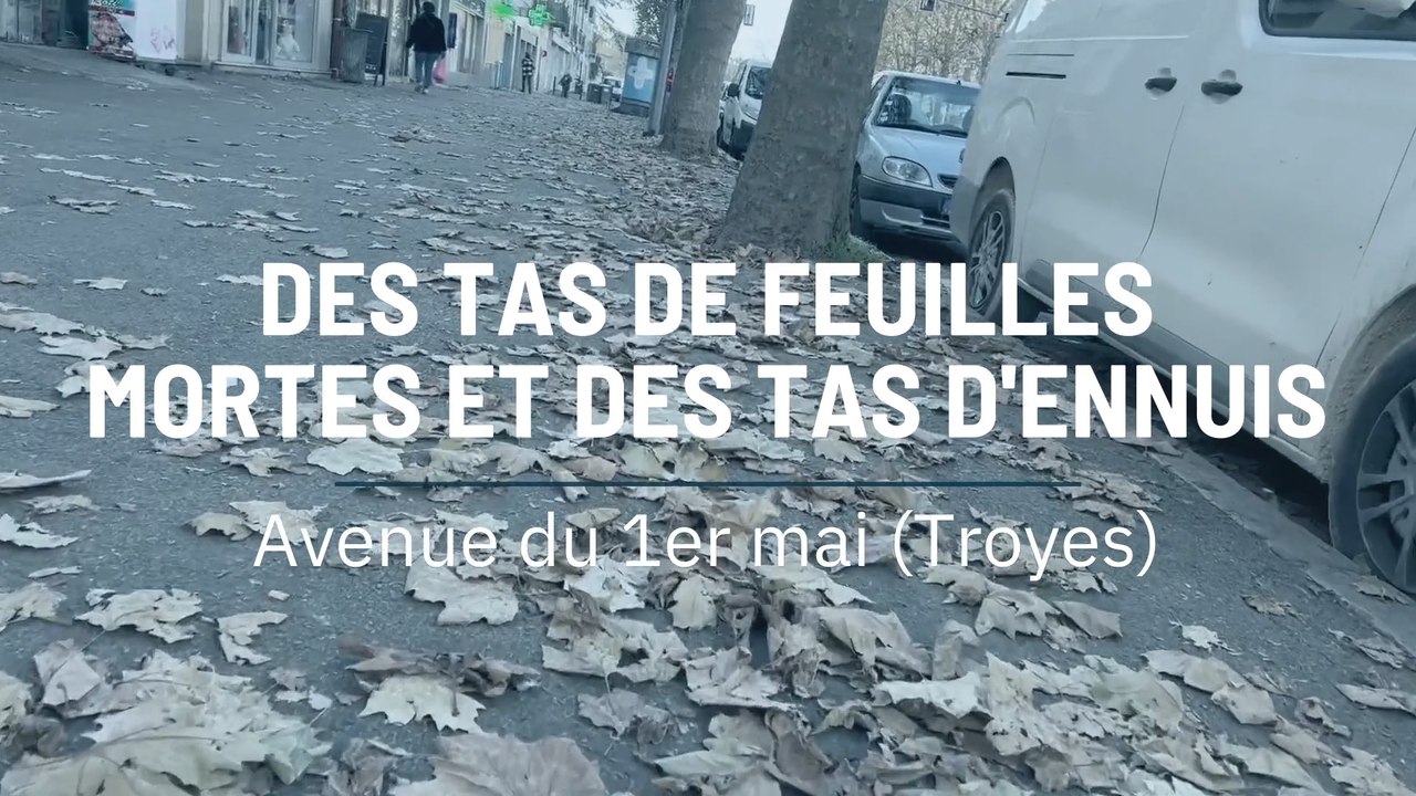 Des tas de feuilles mortes et des tas d'ennuis