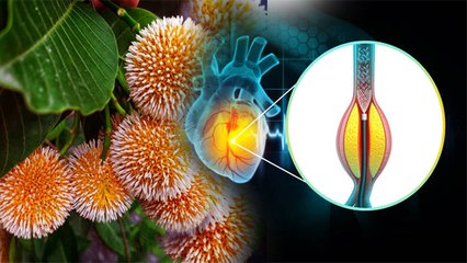 कदंब फल खाने से क्या होता है,कदंब फल खाने के फायदे |Boldsky*Health