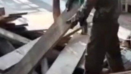 देवास: माफिया पर वन विभाग की बड़ी कार्रवाई, मशीनों सहित सागवान जप्त