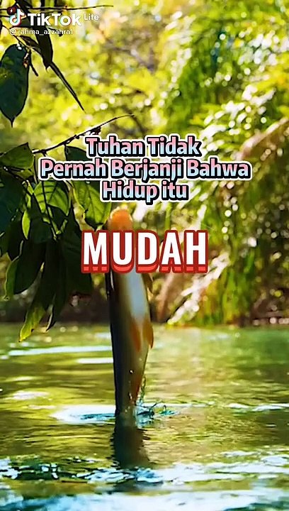 VIDi0 ikan melompat