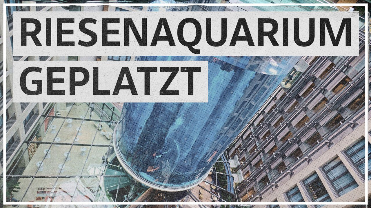Eine Million Liter Wasser ausgetreten: Großaquarium zerbricht in Berliner Hotel