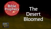 The Desert Bloomed - Bible Prophecy with Dr. August Rosado