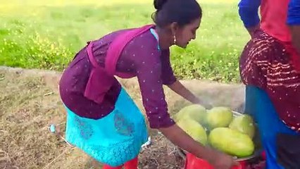 Sanju bhai videos - Dailymotion