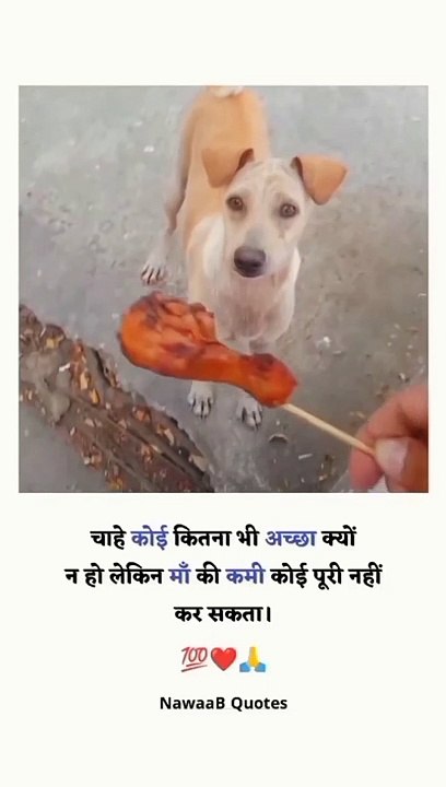 #वीडियो अच्छा लगे तो follow करे