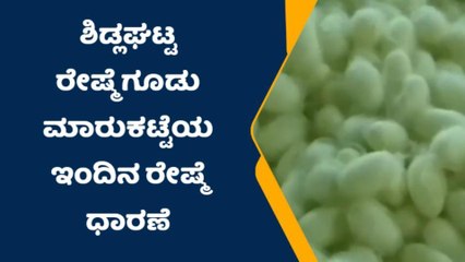 ಶಿಡ್ಲಘಟ್ಟ : ರೇಷ್ಮೆ ಗೂಡು ಮಾರುಕಟ್ಟೆಯ ಇಂದಿನ ರೇಷ್ಮೆ ಧಾರಣೆ