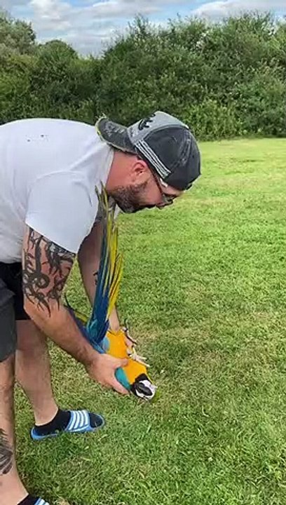 Funny videos