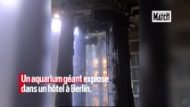 Un aquarium géant éclate dans un hôtel à Berlin