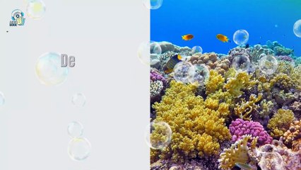 20000 Leguas de Viaje Submarino