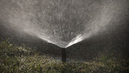 Drought emergency declared in southern California with potential to impact 19 million people