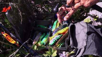 La Loire sauvage avec le champion Grégoire Juglaret 🎣
