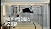 [HOT] KIM KIM KYU, did you succeed in taking a picture of Pilates!, 나 혼자 산다 221216