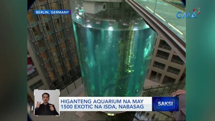 Higanteng aquarium na may 1500 exotic na isda, nawasak | Saksi