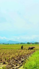 Lembur kuring