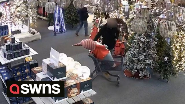 Police hunting real-life Grinch who was caught on CCTV brazenly stealing giant decorative Santa Claus