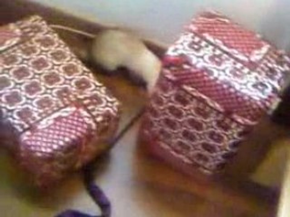 Sifflette et Peluche