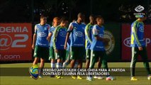 Confira a preparação do Palmeiras para o jogo contra o Tijuana
