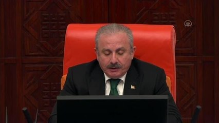 Tatlıoğlu: "Cumhurbaşkanlığı Hükümet Sistemi, 2010 yılından bu yana Türkiye'de yükselen otoriter rejimi ne yazık ki kurumsallaştırmıştır"