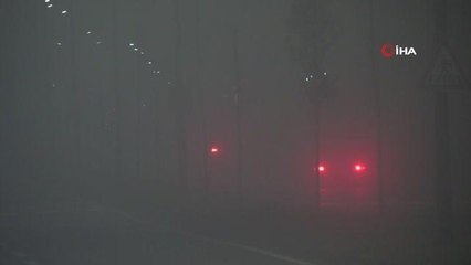 Sivas'ta yoğun sis: Görüş mesafesi de 10 metreye kadar düştü