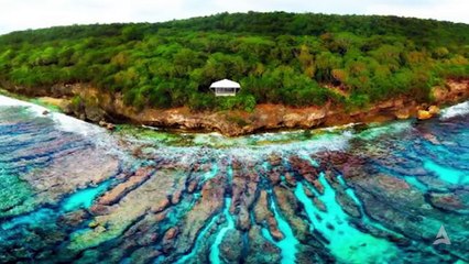 15 Fenomene Te Cuditshme Te Kafsheve Qe Ndodhen Ne Toke