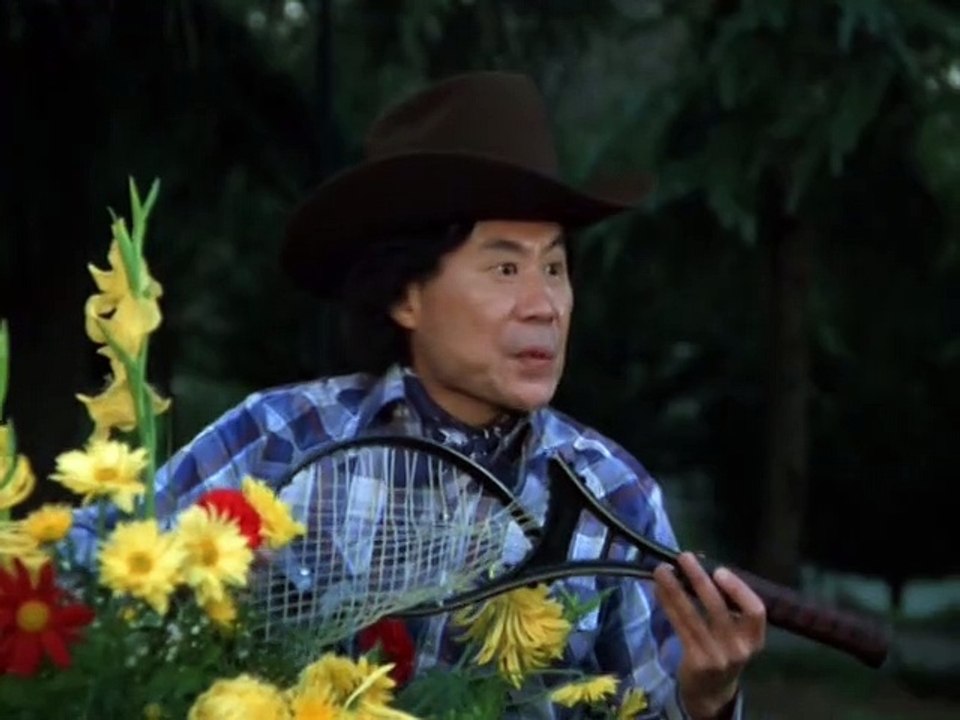 Remington Steele Staffel 4 Folge 18