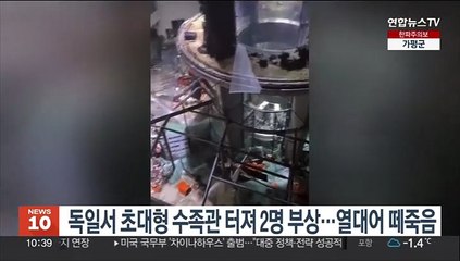 베를린 호텔서 초대형수족관 터져 2명 부상, 투숙객 350명 대피