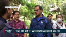 Bima Arya dan BKSDA Jawa Barat Cek Monyet Viral di Bogor Mini Zoo, Kandang Sudah Kosong!
