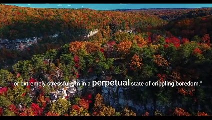 Andrew Tate Motivation