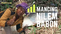 Mancing Nilem Babon