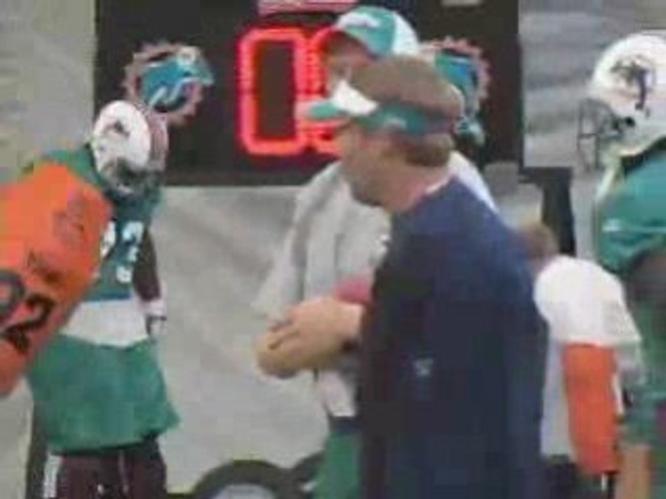 060817 practice dolphins