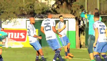 Palmeiras escalado para encarar o Santos no Pacaembu