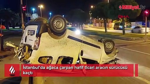 Ağaca çarpan hafif ticari aracın sürücüsü kaçtı