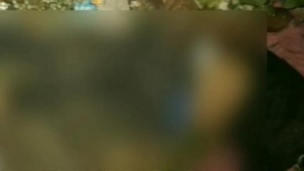 కామారెడ్డి: రైలు నుంచి జారి పడి మహారాష్ట్ర వాసి మృతి