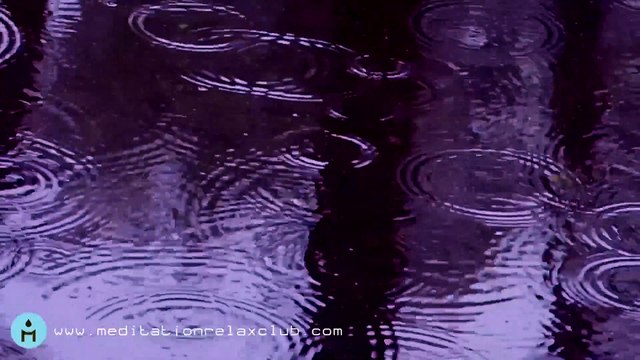 Nature Sounds - Rain Sounds One Hour White Noise for Sleeping, Sleep Aid for Everybody