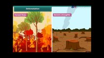 Class 8 Biology Natural Reserves for Plants and Animals