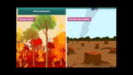 Class 8 Biology Natural Reserves for Plants and Animals