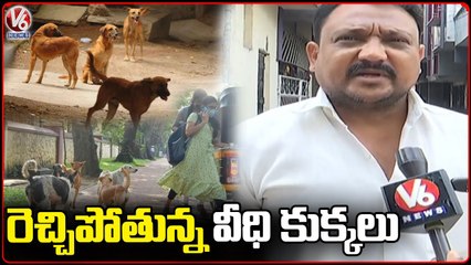 Public Facing Problems With Street Dogs _ Hyderabad _ V6 News