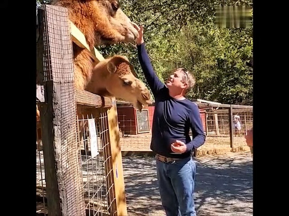 Just Enjoy: Funny clips compilation (Part-2)