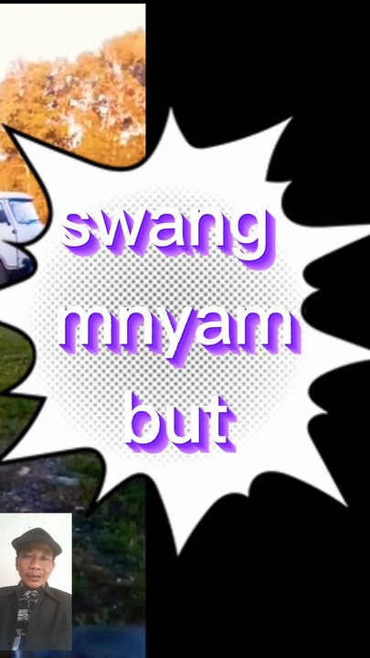 Sang angsa beraksi