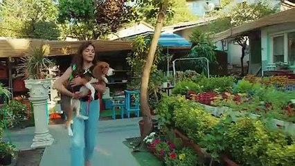 Sen_Cal_Kapımı__Episode_18_part_2_in_Hindi_&_Urdu_Dubbed_-_You_Knock_on_My_Door_in_Hindi_&_Urdu_-_Love_is_in_the_Air_in_Hindi_&_Urdu_-_Hande_Erçel_-_Kerem_Bürsin