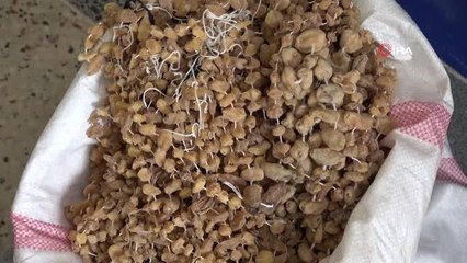 Kış aylarının vazgeçilmesi Bucak salepi her derde deva